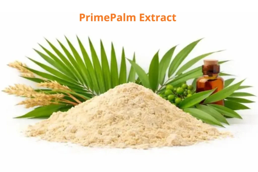 PrimePalm Extract powder proprietary botanical ingredient used in advanced nerve support supplements